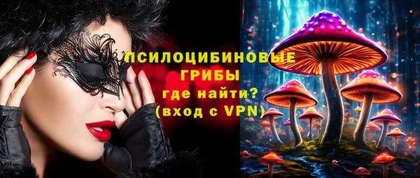 spice Алзамай
