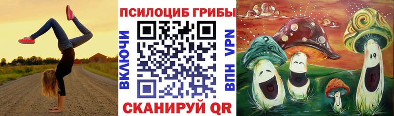 Галлюциногенные грибы Cubensis  Межгорье 